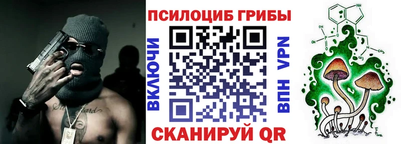 закладки  Верхняя Пышма  Галлюциногенные грибы Psilocybe 